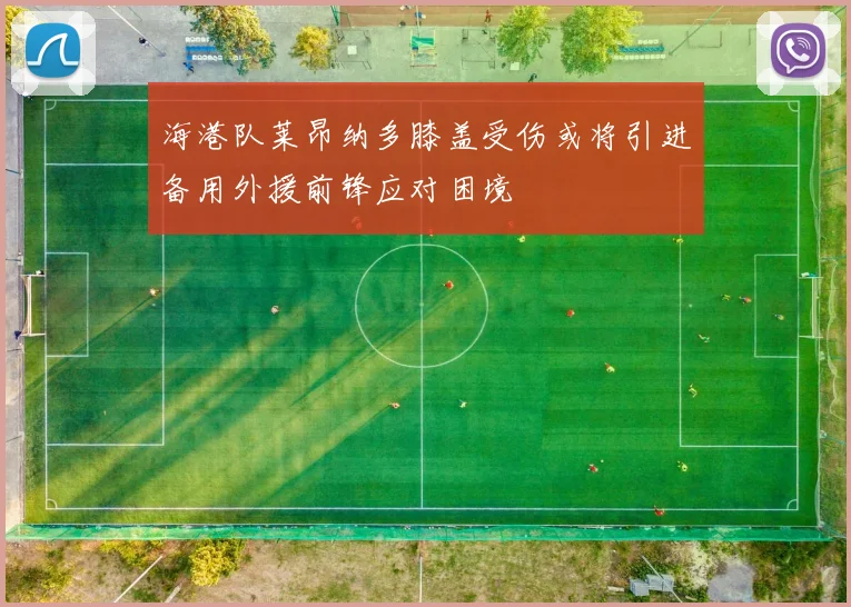 海港队莱昂纳多膝盖受伤或将引进备用外援前锋应对困境