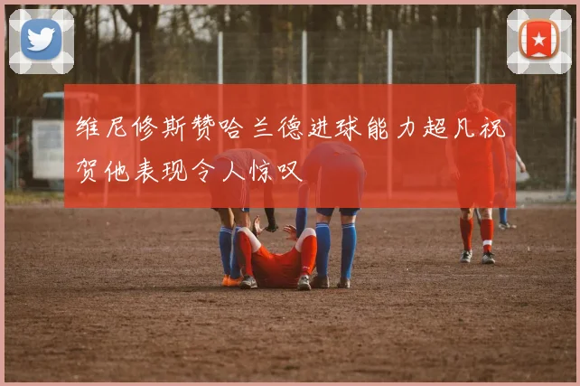 维尼修斯赞哈兰德进球能力超凡祝贺他表现令人惊叹